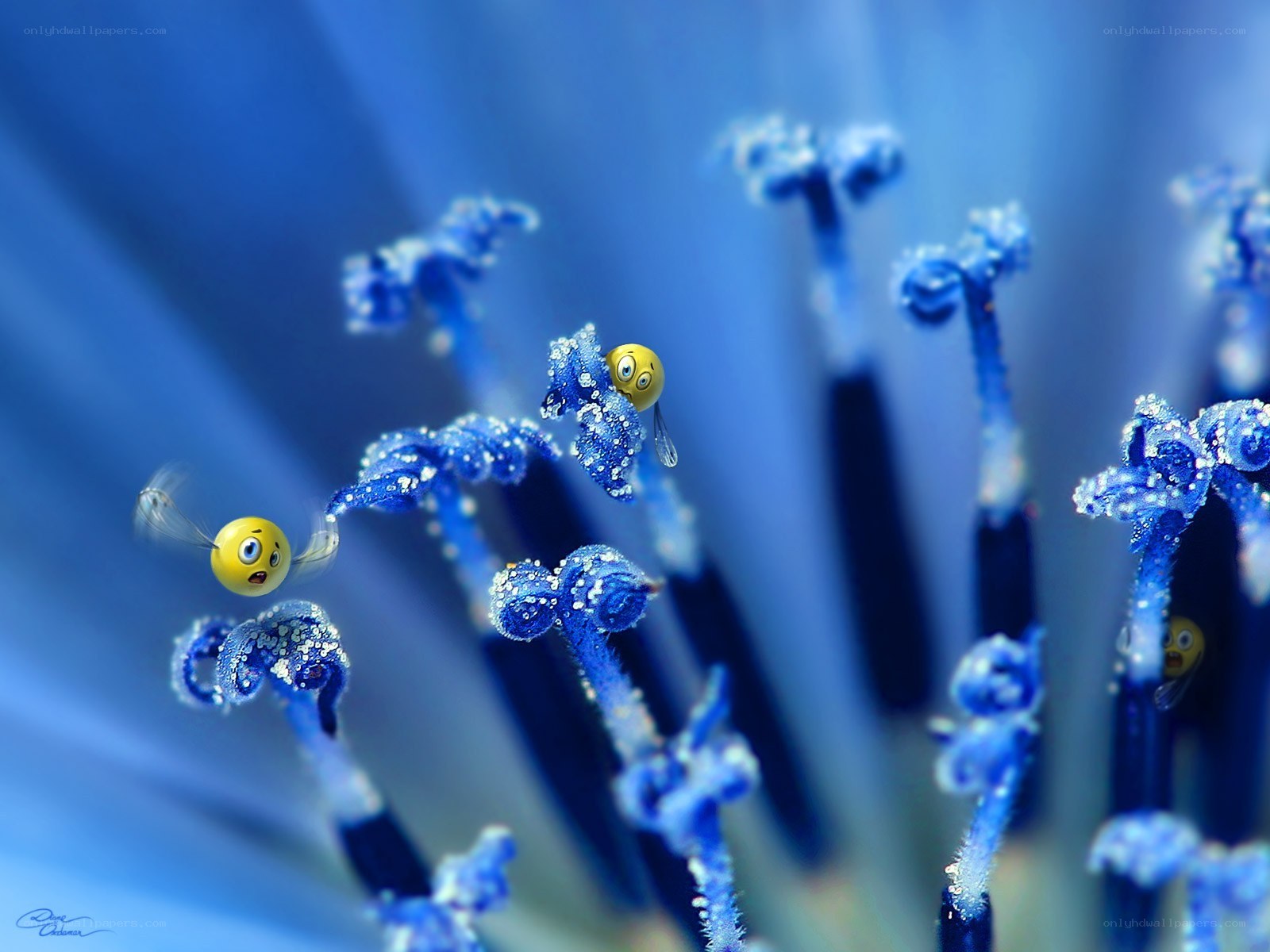 Blue flower with cartoon bees