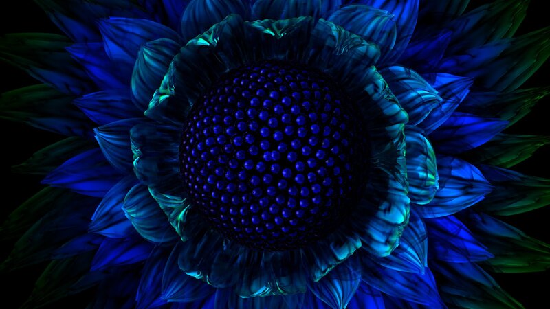 Blue Flower with Dark Center — Night
