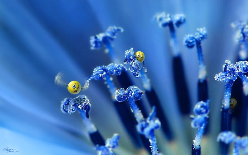 Blue flower with emoji bees