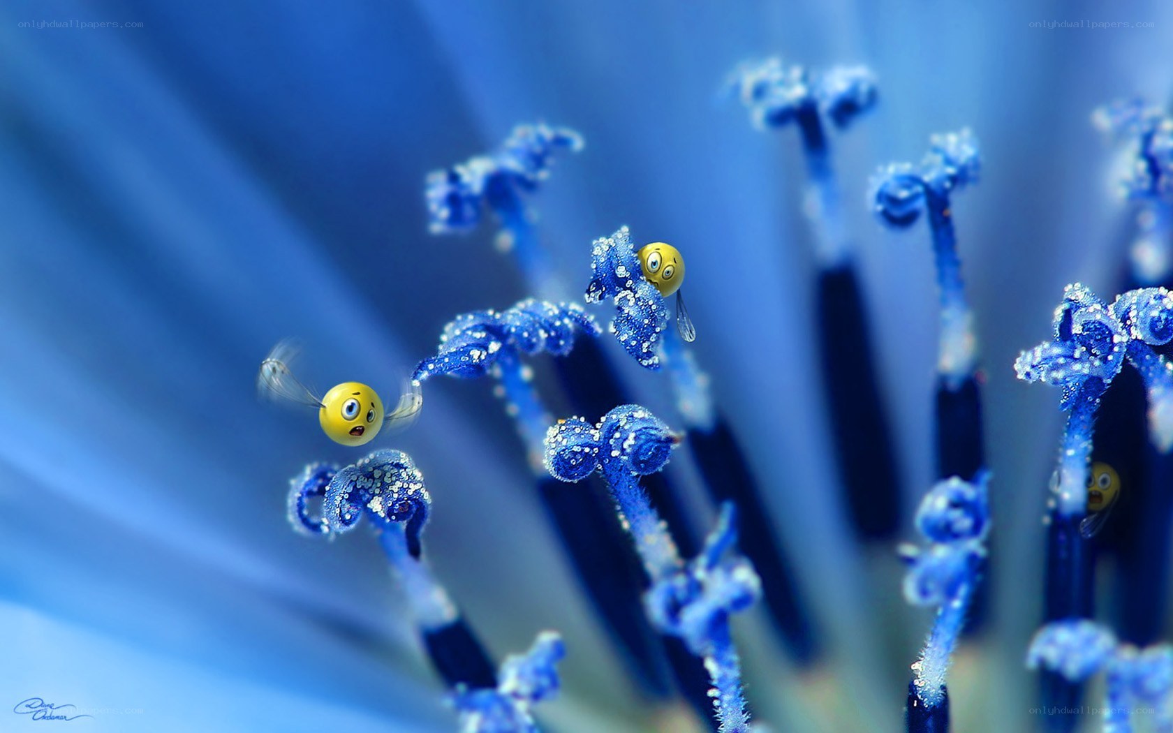 Blue flower with emoji bees