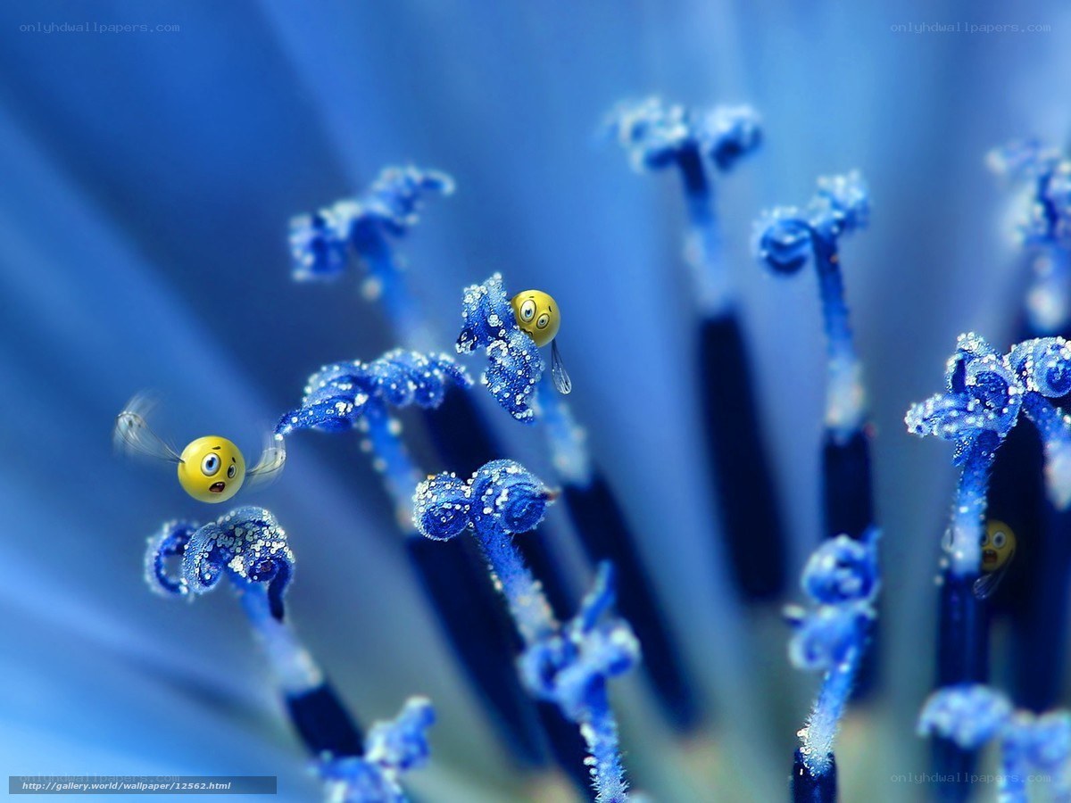 Blue flower with emoji bees