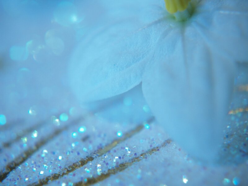 blue flower with glitter
