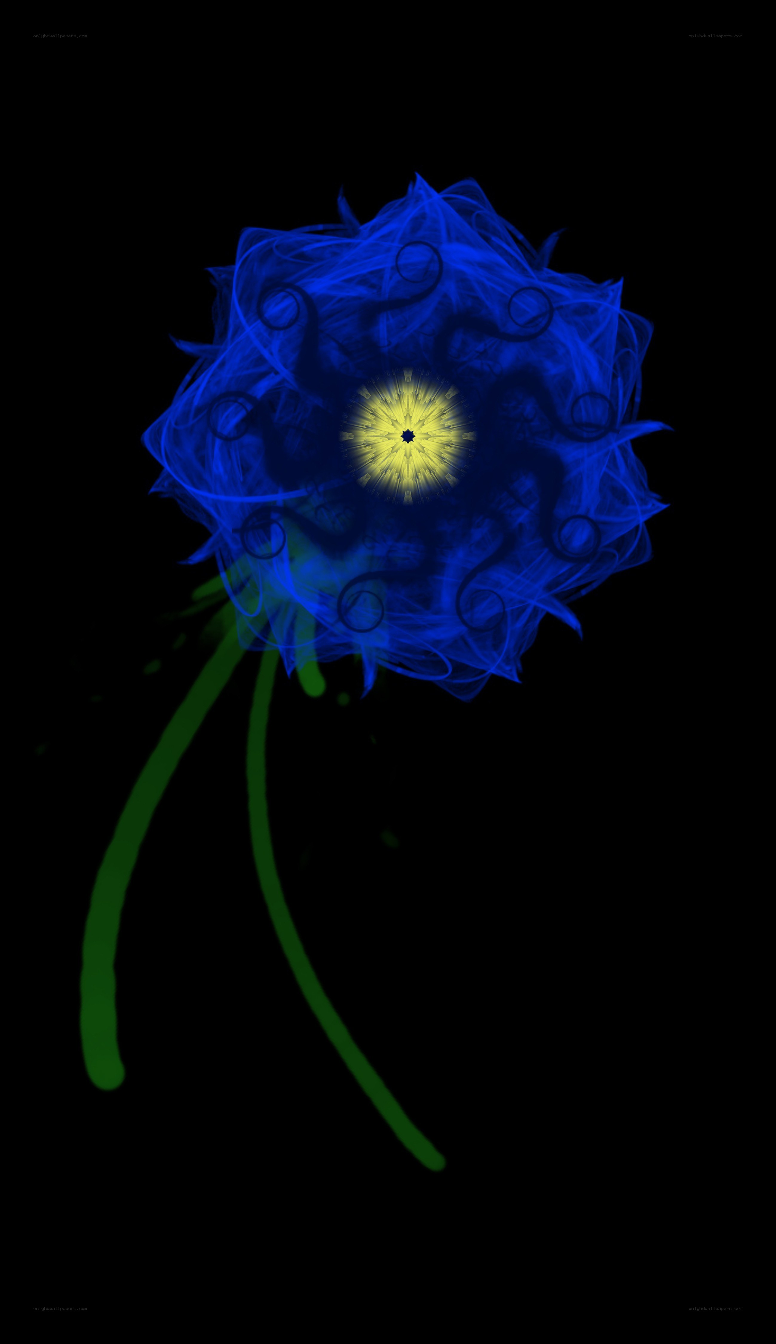 blue flower with glowing center