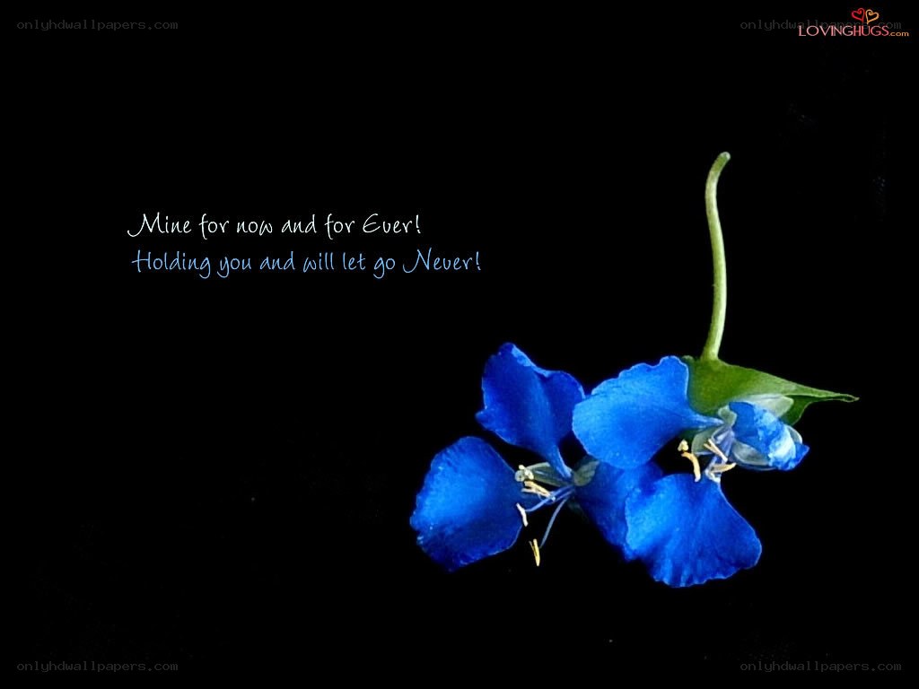 Blue flower with love quote