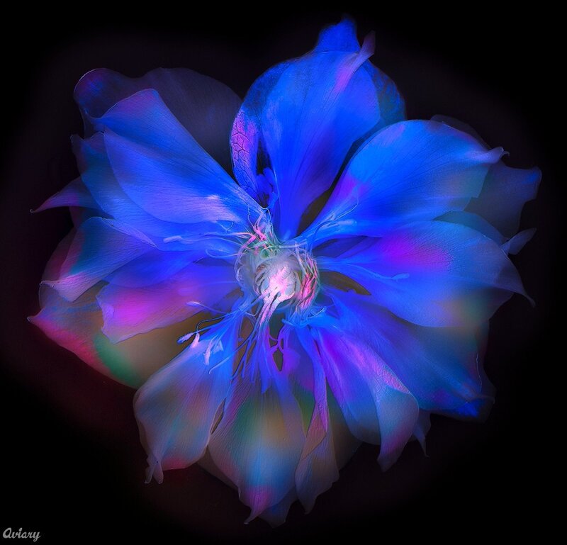 blue flower with neon glow
