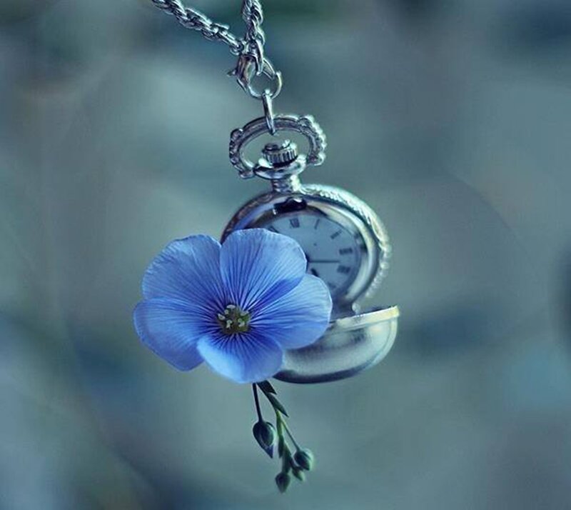 Blue Flower with Pocket Watch