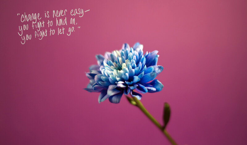 Blue flower with quote