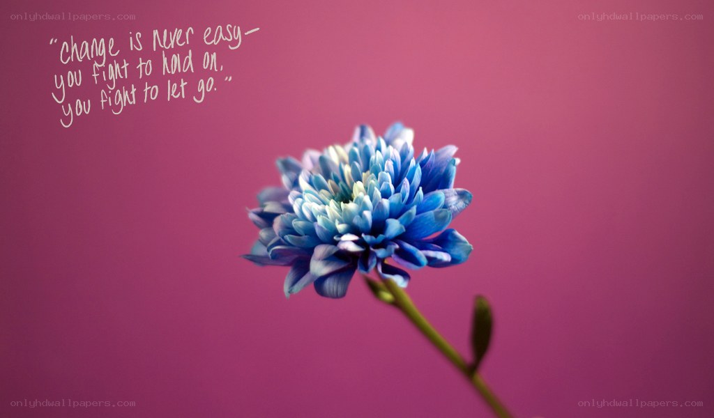 Blue flower with quote