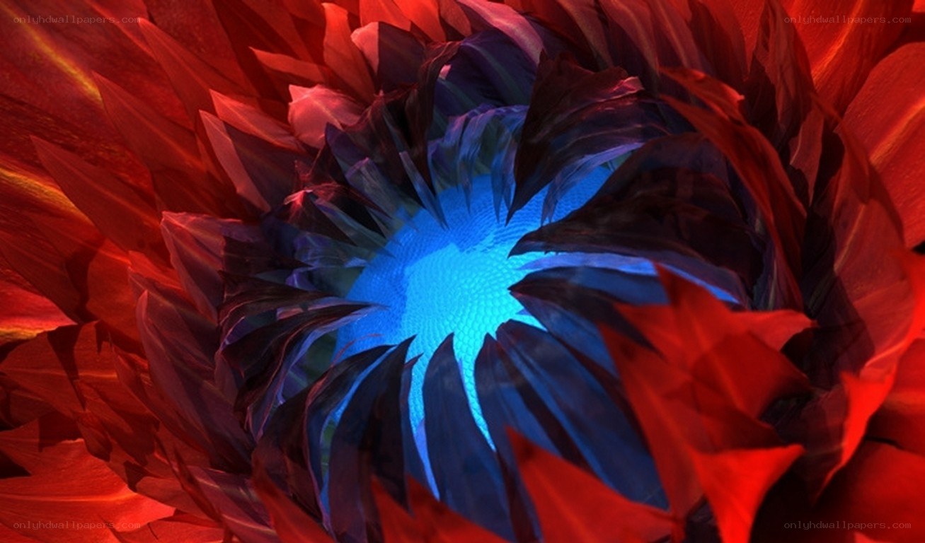 blue flower with red petals
