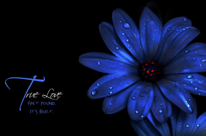 Blue Flower with Water Droplets — Dramatic, Night, Digital Art
