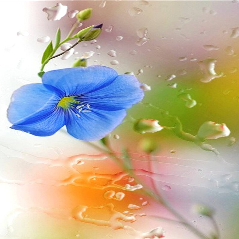 Blue Flower with Water Droplets — Serene, Digital Art