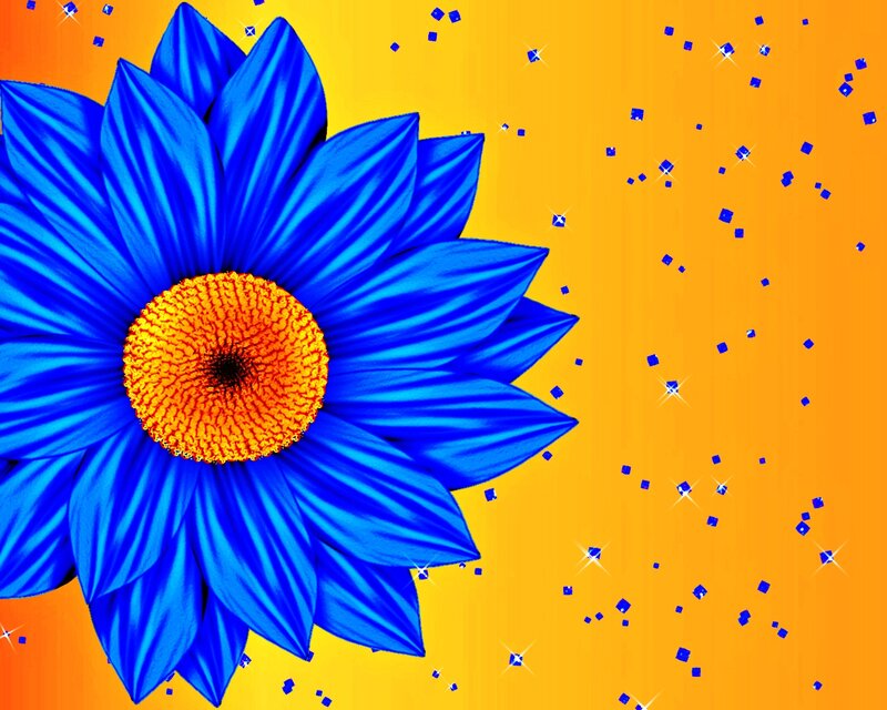 Blue Flower with Yellow Center — Vibrant