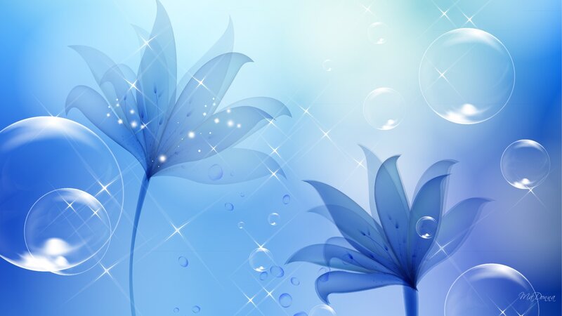 Blue Flowers and Bubbles