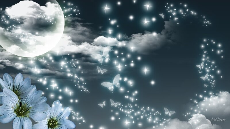 Blue Flowers and Butterflies — Serene