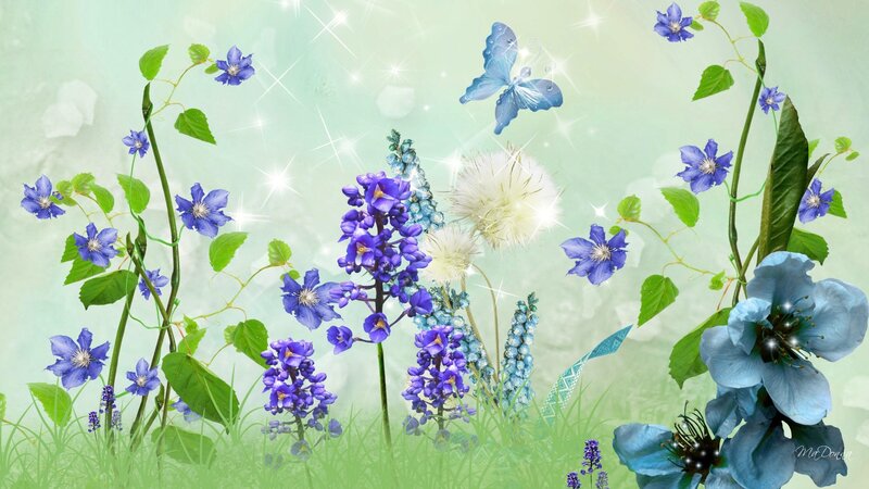 Blue Flowers and Butterfly