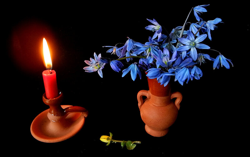 Blue Flowers and Candle