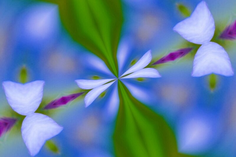 Blue Flowers and Green Leaves