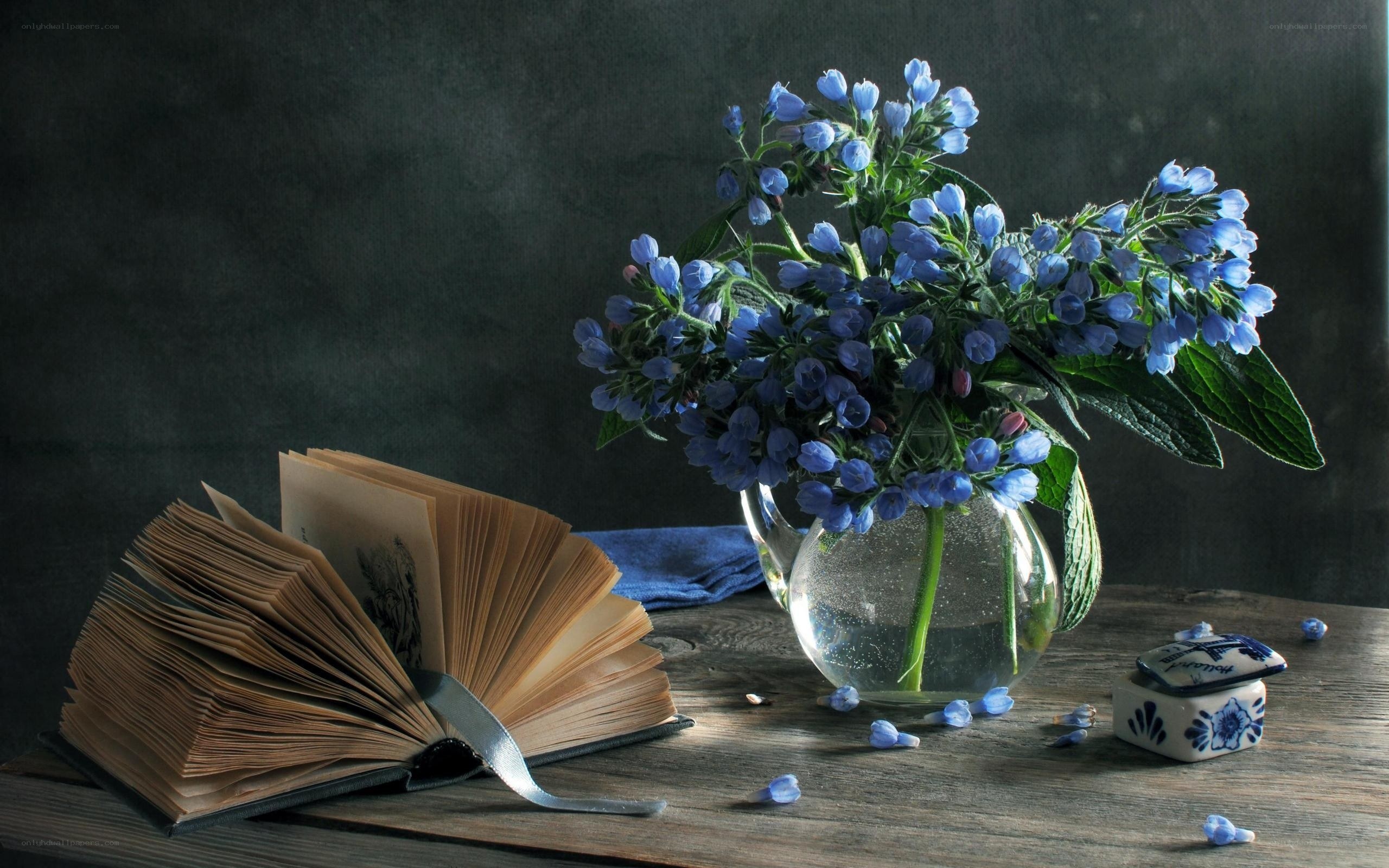 Blue flowers and open book