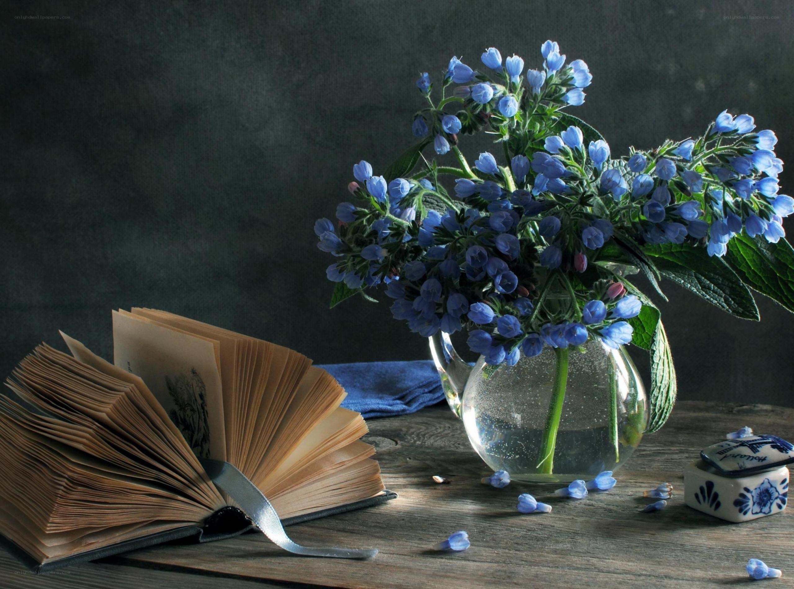 Blue flowers and open book