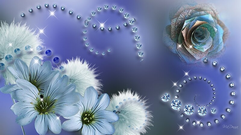 Blue Flowers and Paper Rose