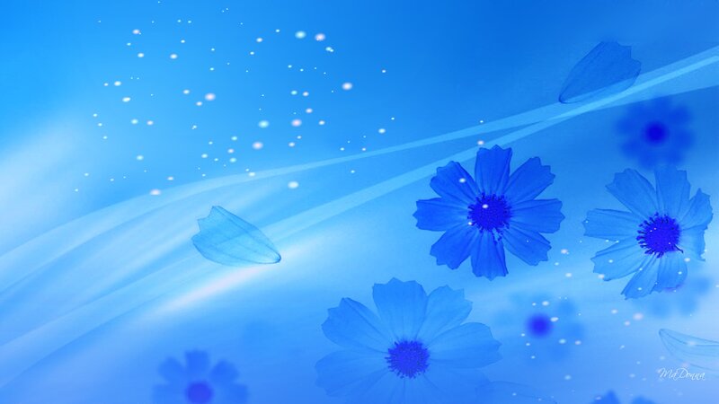 Blue Flowers and Petals