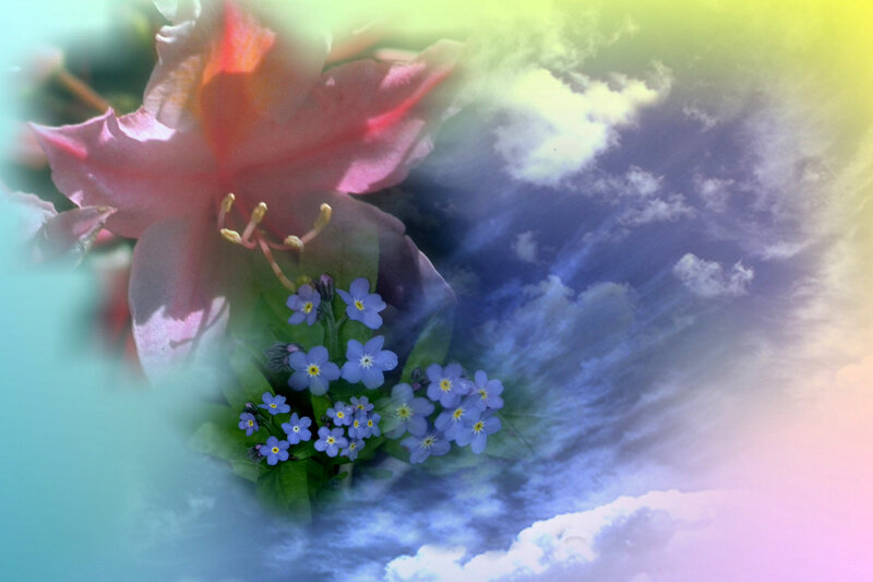 Blue Flowers and Pink Bloom