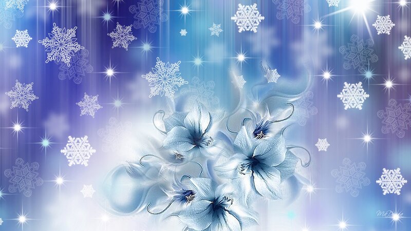 Blue Flowers and Snowflakes
