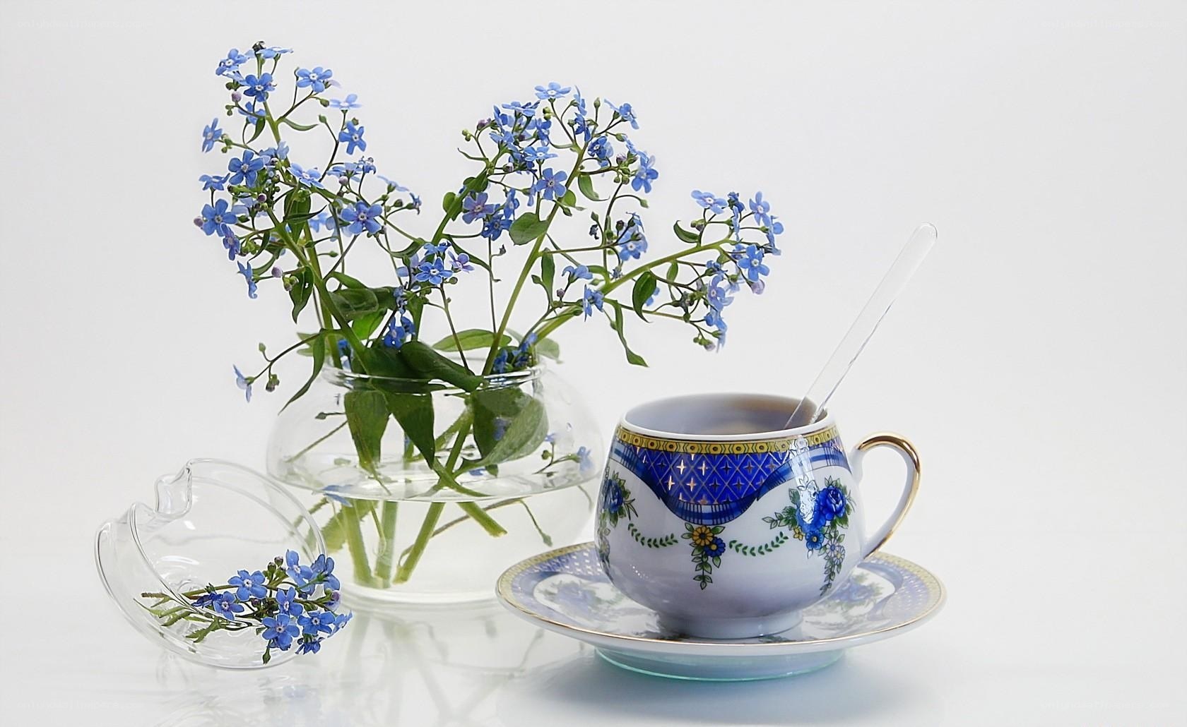 Blue flowers and teacup