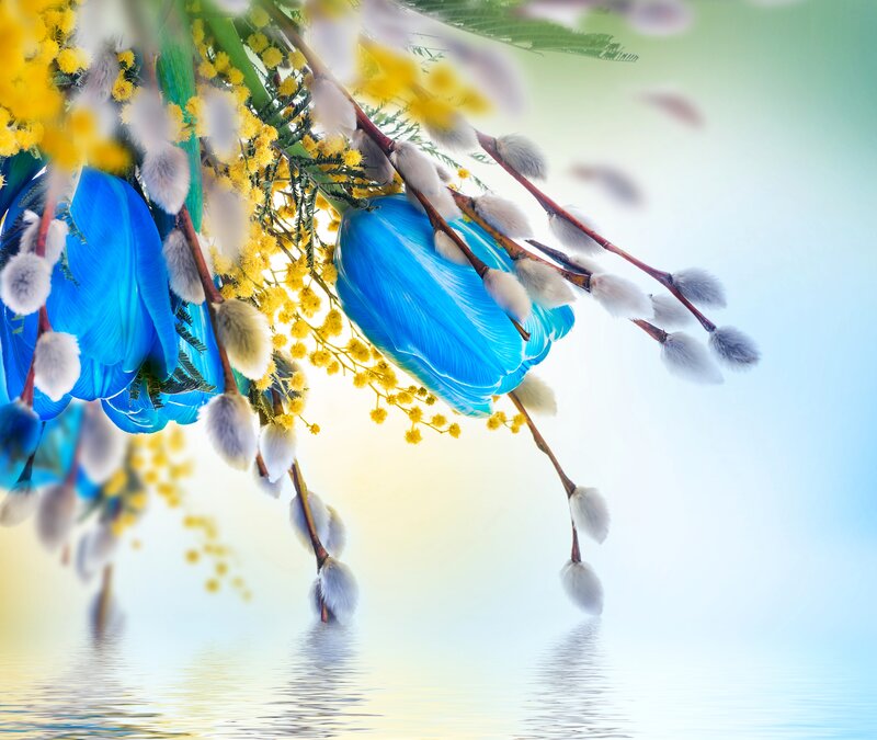 Blue Flowers and Willow Branches