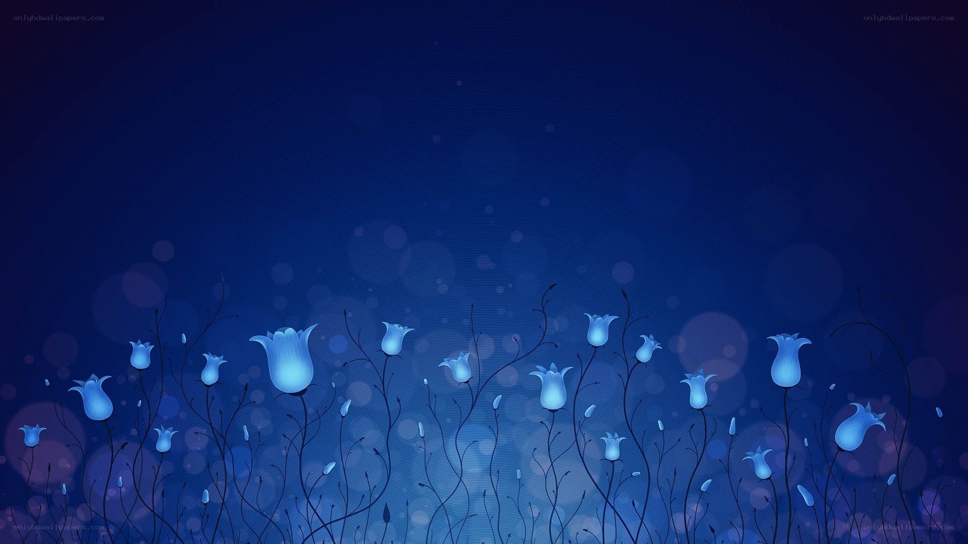 blue flowers at night