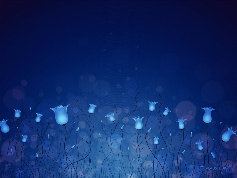 blue flowers at night