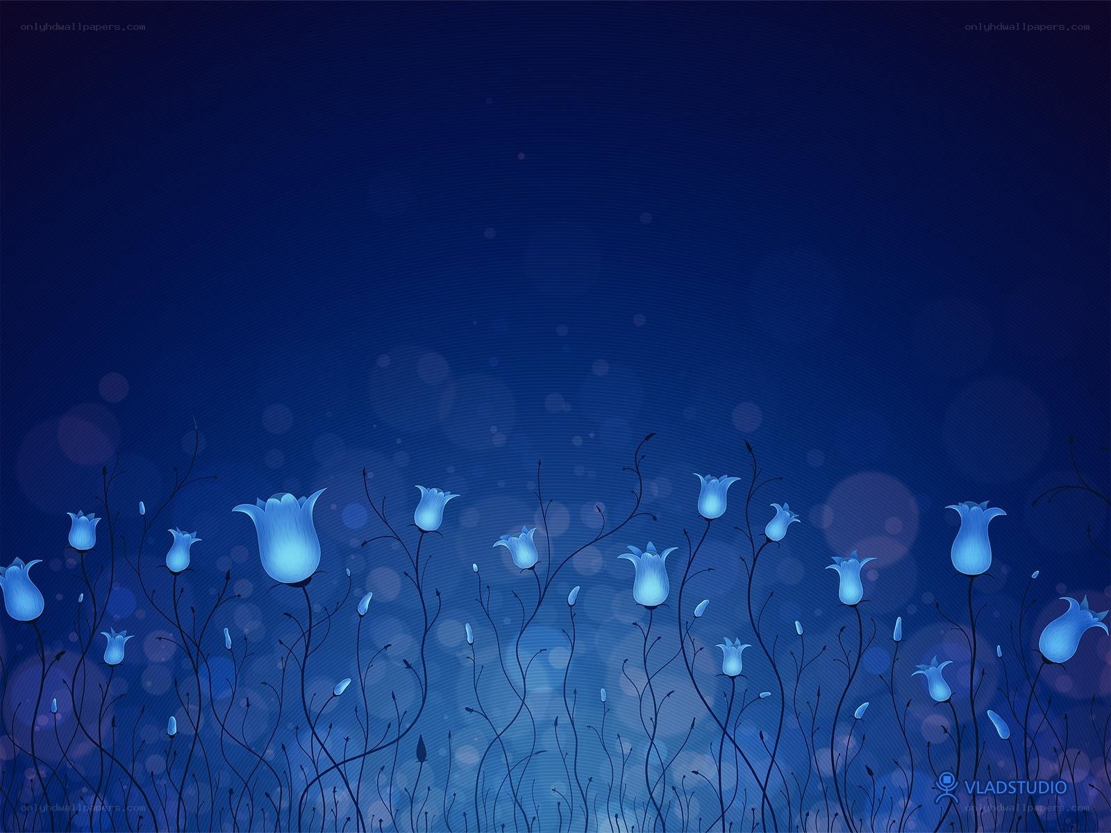 blue flowers at night
