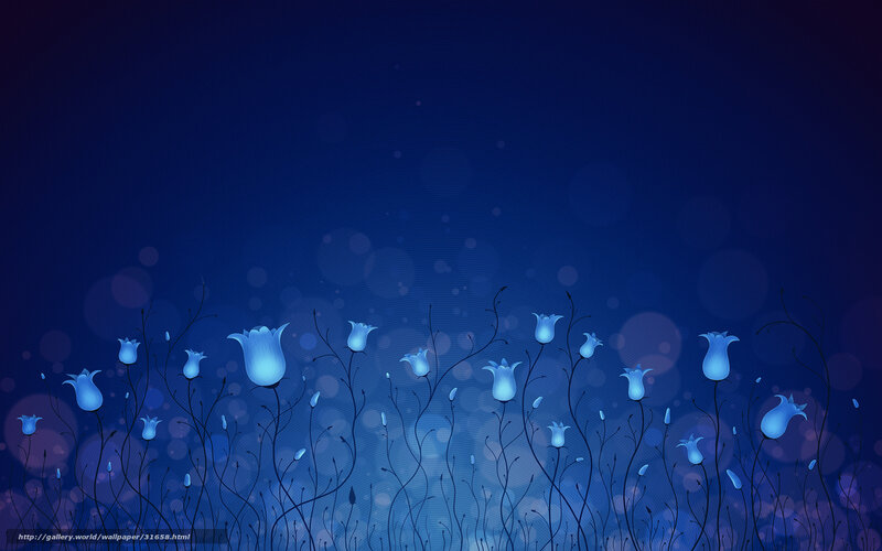 Blue flowers at night