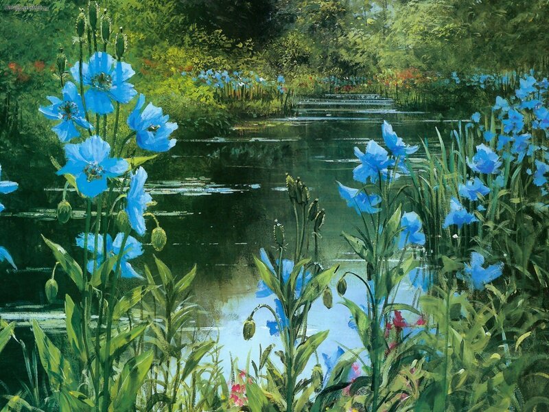 Blue Flowers by Pond