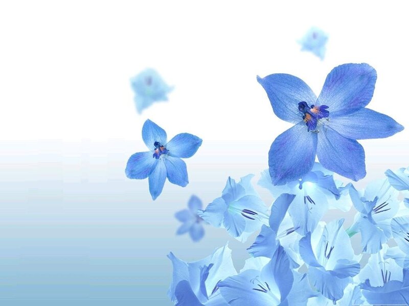 Blue Flowers Floating — Serene, Digital Art