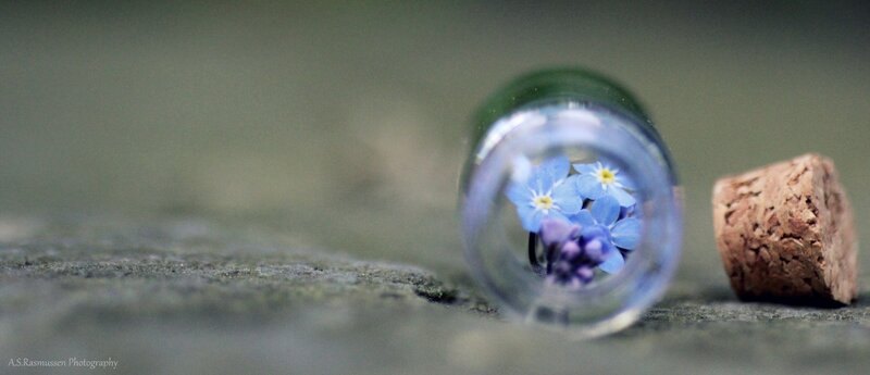 Blue Flowers in a Bottle