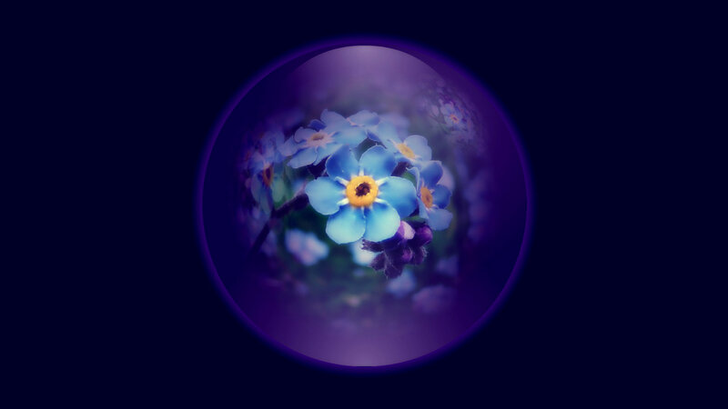 Blue Flowers in a Bubble