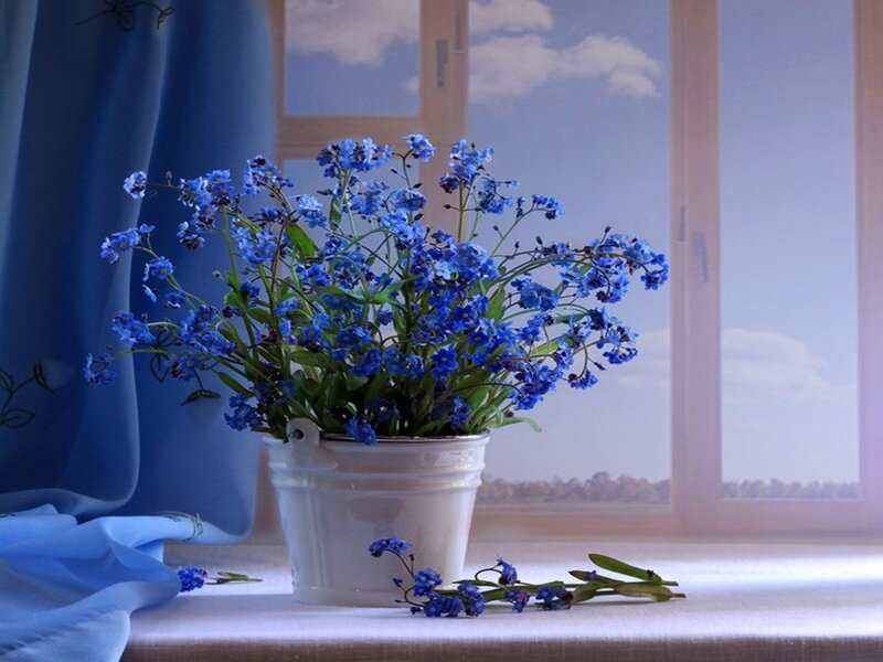 Blue Flowers in a Bucket