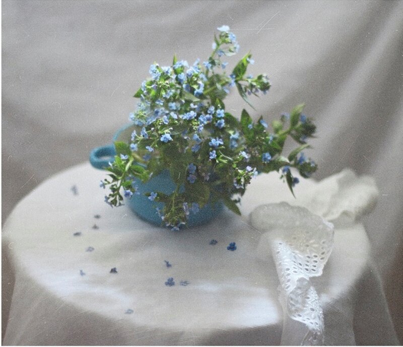 Blue Flowers in a Cup