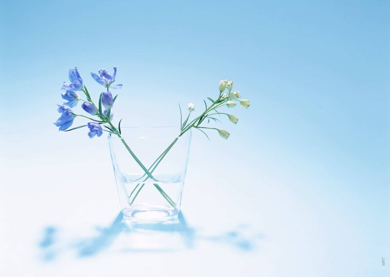 Blue flowers in a glass