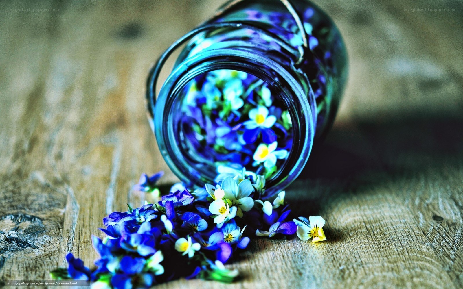 Blue flowers in a jar
