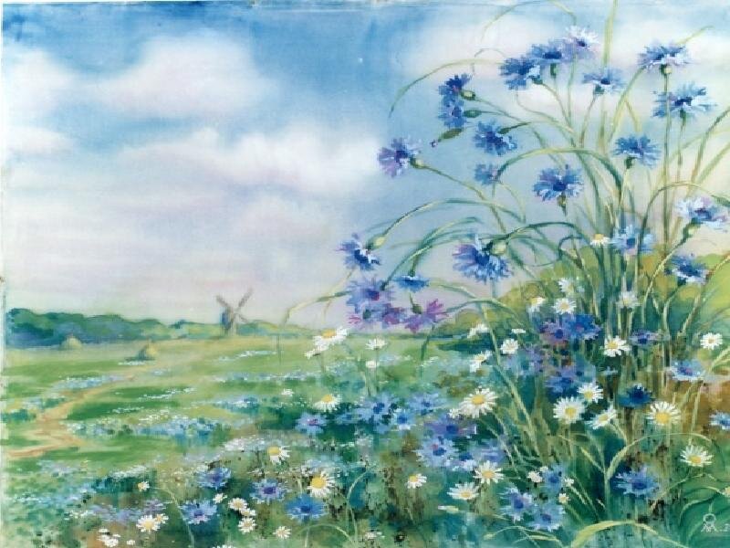 Blue flowers in a meadow