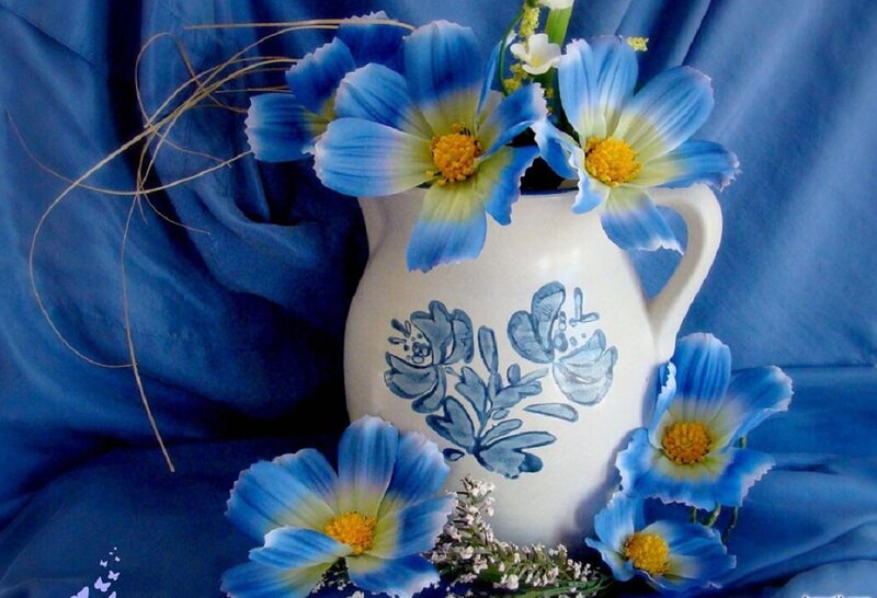 Blue Flowers in a Pitcher — Serene