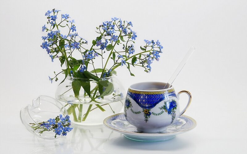 Blue flowers in a teacup