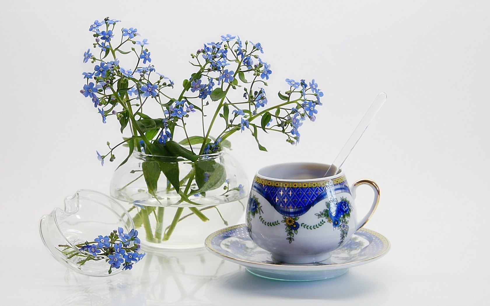 Blue flowers in a teacup