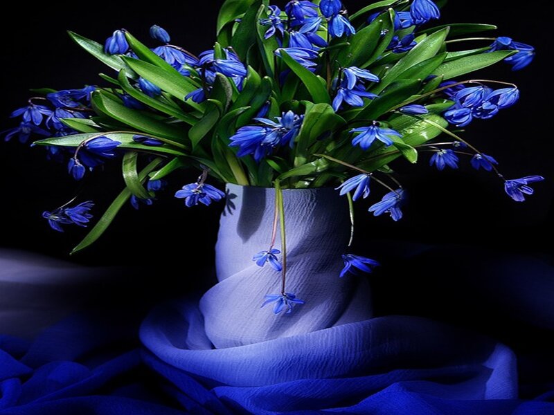 Blue flowers in a vase