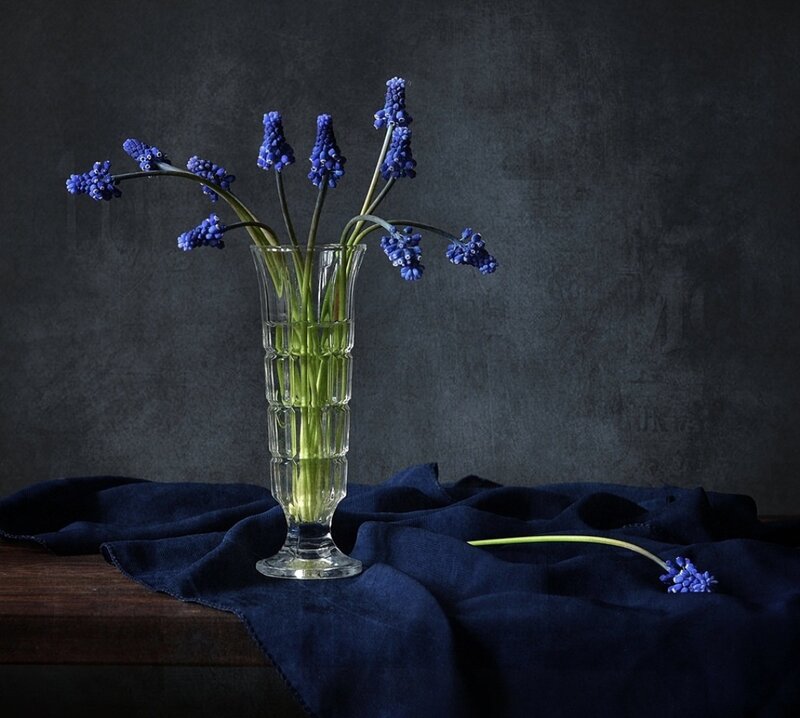 Blue Flowers in a Vase — Dramatic, Photograph, Cloth
