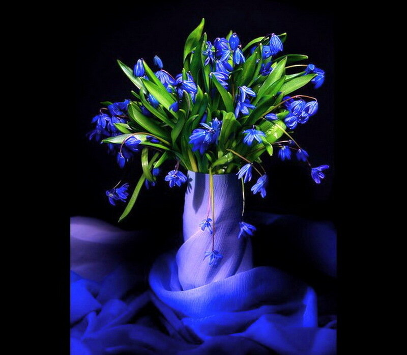 Blue Flowers in a Vase — Dramatic