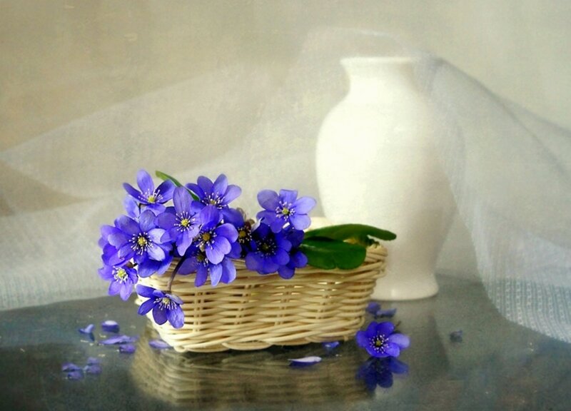 Blue Flowers in Basket — Purple