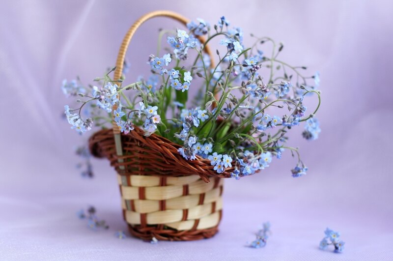 Blue Flowers in Basket